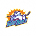 orlando-ad-agency-solar-bears